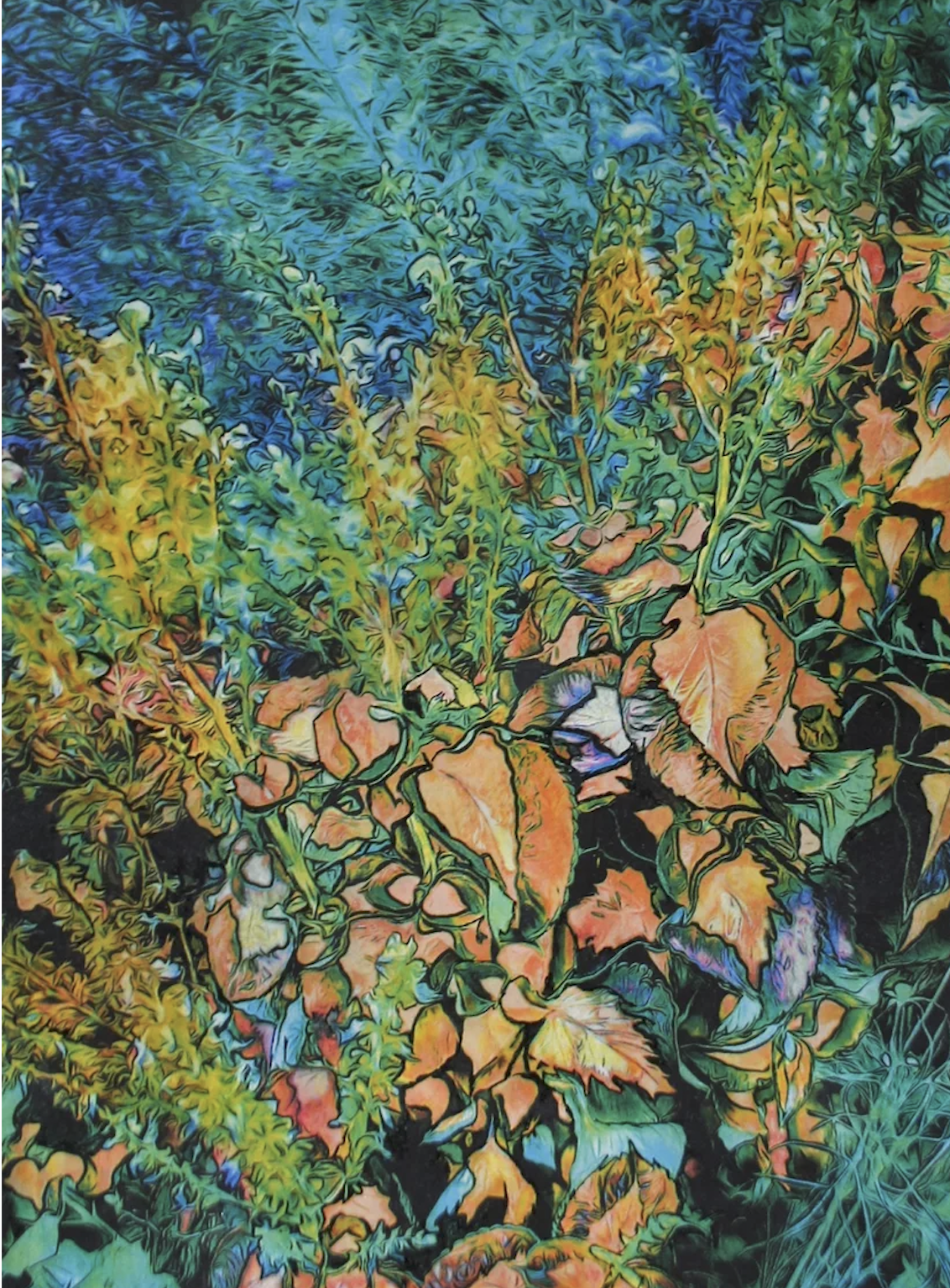 Exposition Dominique Coppens