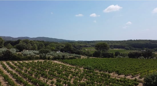 Les Lambesc'apades : Découverte du Domaine Beauchamp