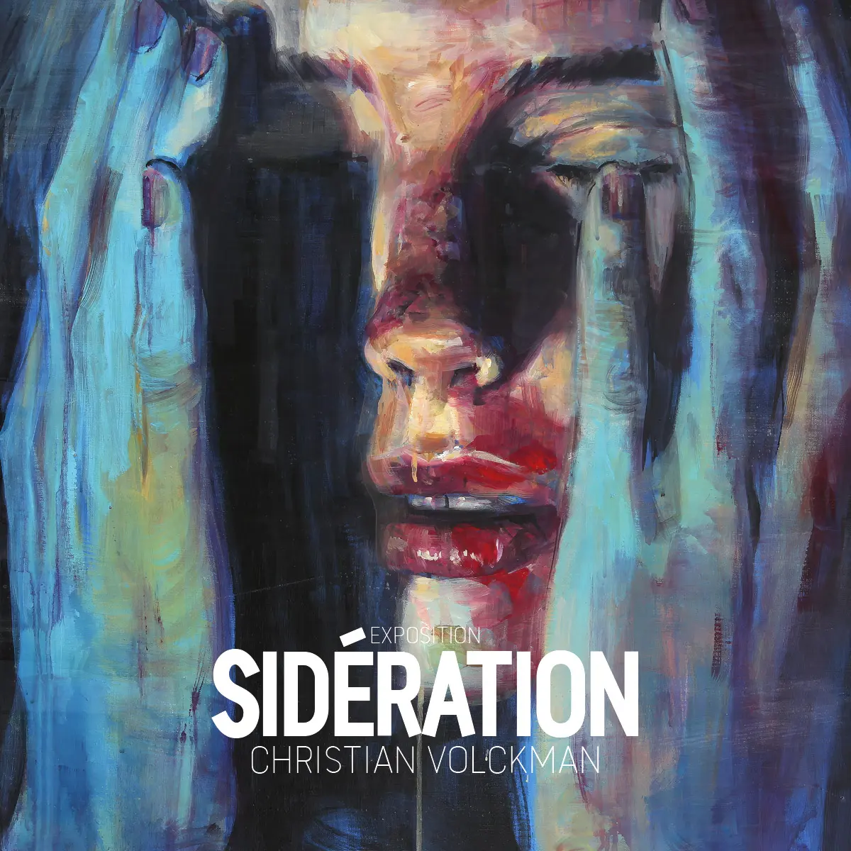 Exposition SIDERATION de CHRISTIAN VOLCKMAN