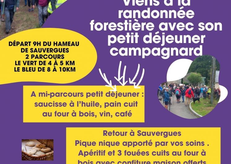 Randonnée forestière avec petit déjeuner campagnard