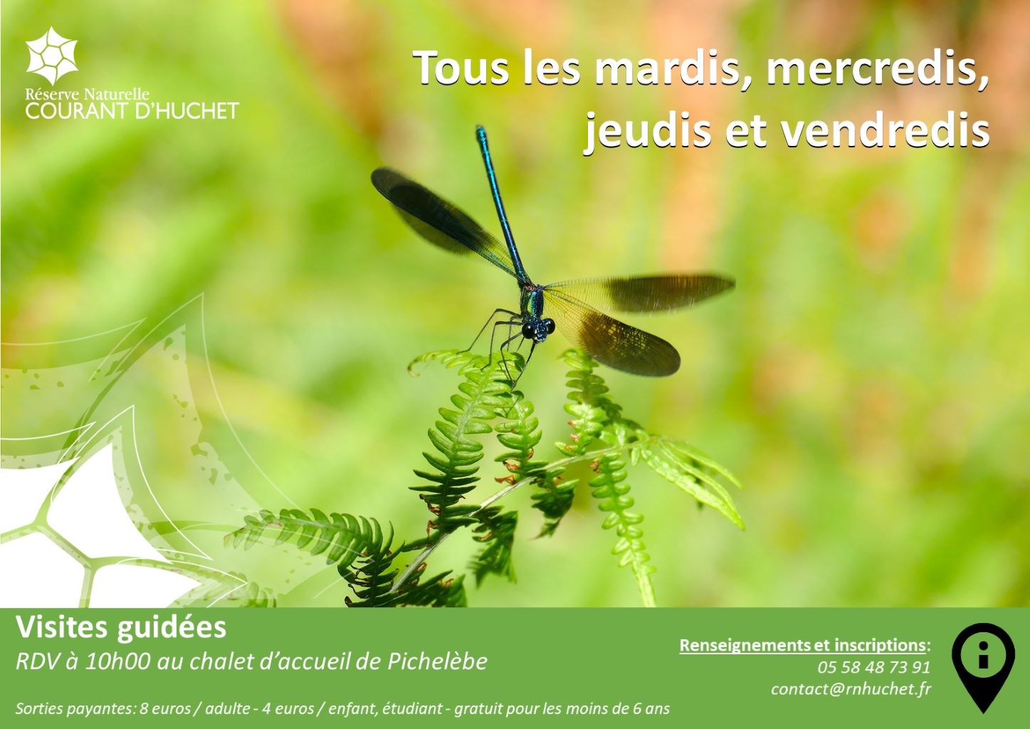 Partez à la découverte de la Réserve Naturelle du Courant d'Huchet