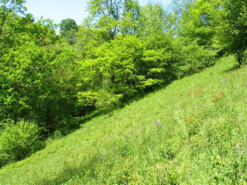 Chantier nature participatif à Ligsdorf