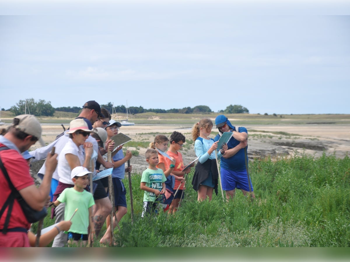 Traversée pour enfants du havre de la Sienne