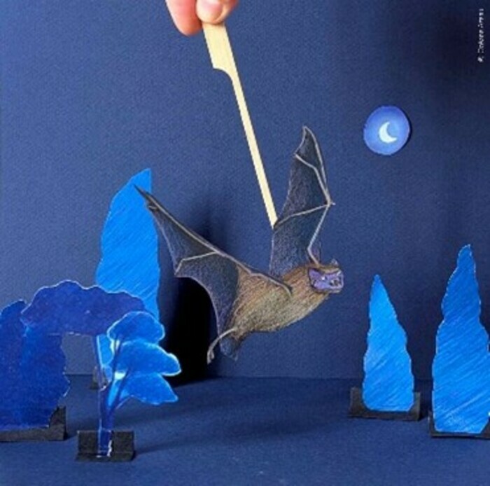 Atelier d’été : Théâtre de papier, les chauve souris en scène !