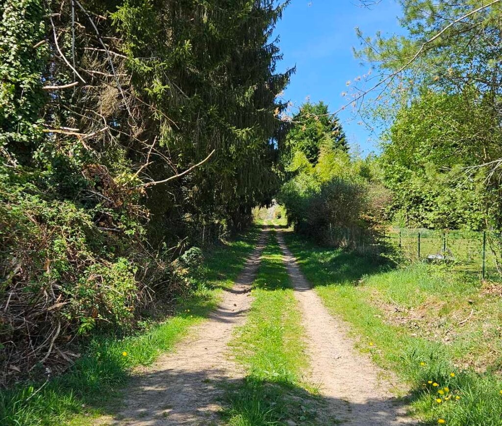 Randonnée pédestre à Saint Cyr