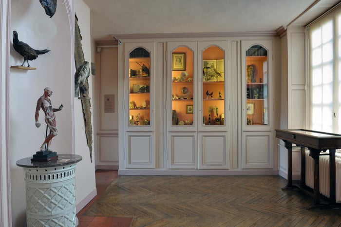 Visite libre du musée