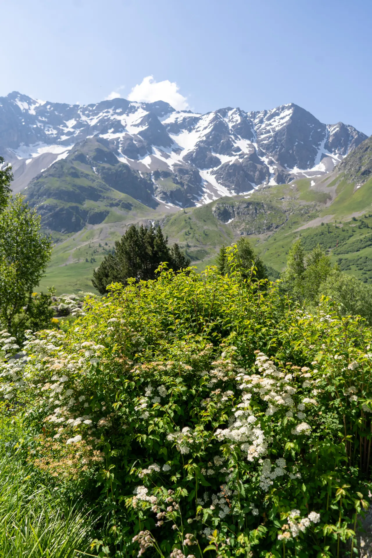 Exposition temporaire du Parc national des Ecrins