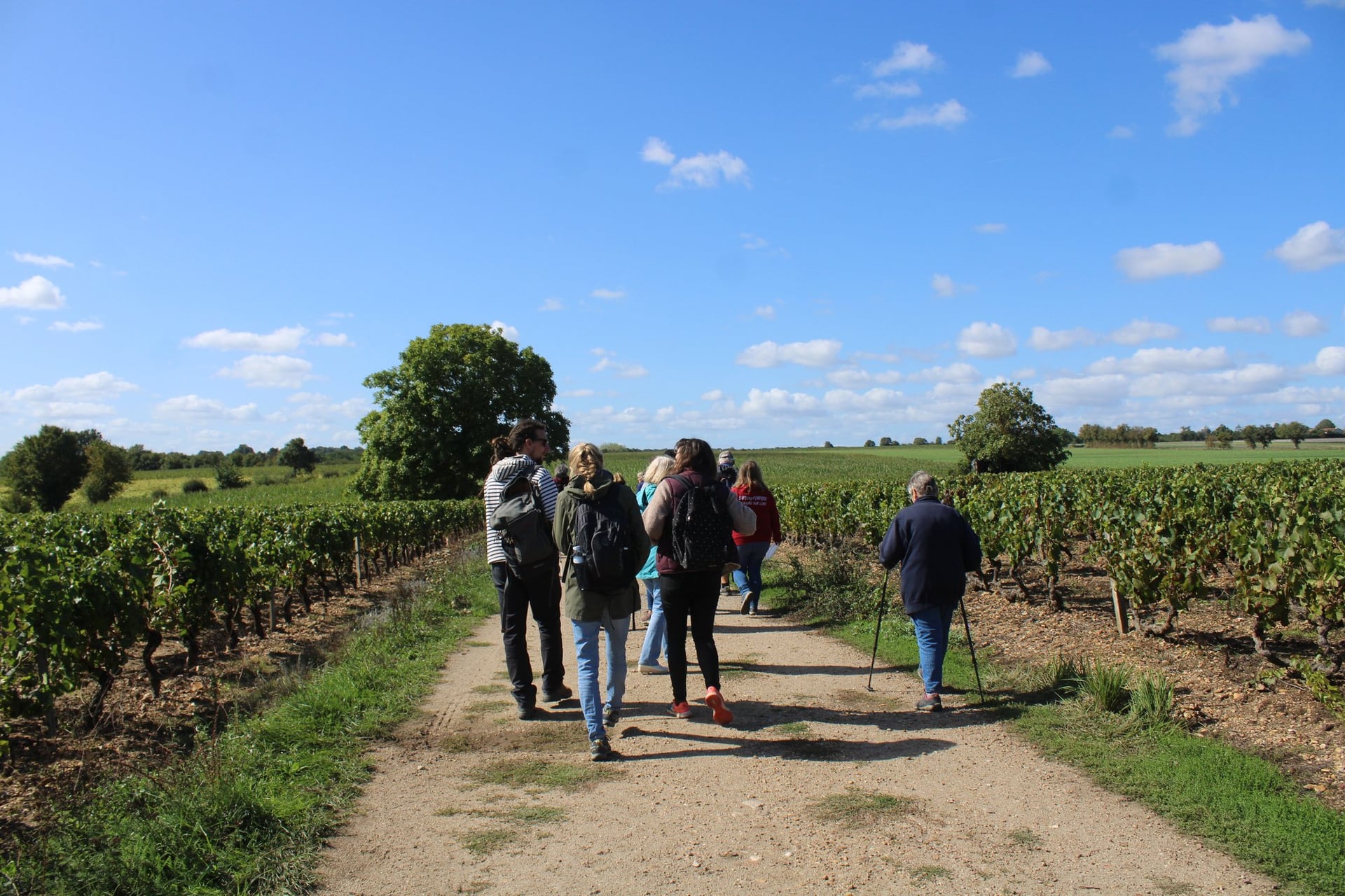 Balade-dégustation "It's wine time" dans les vignes