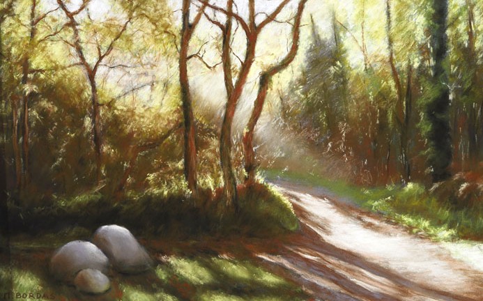 Stages pastel de Michel Bordas au Grand Saint-Léonard