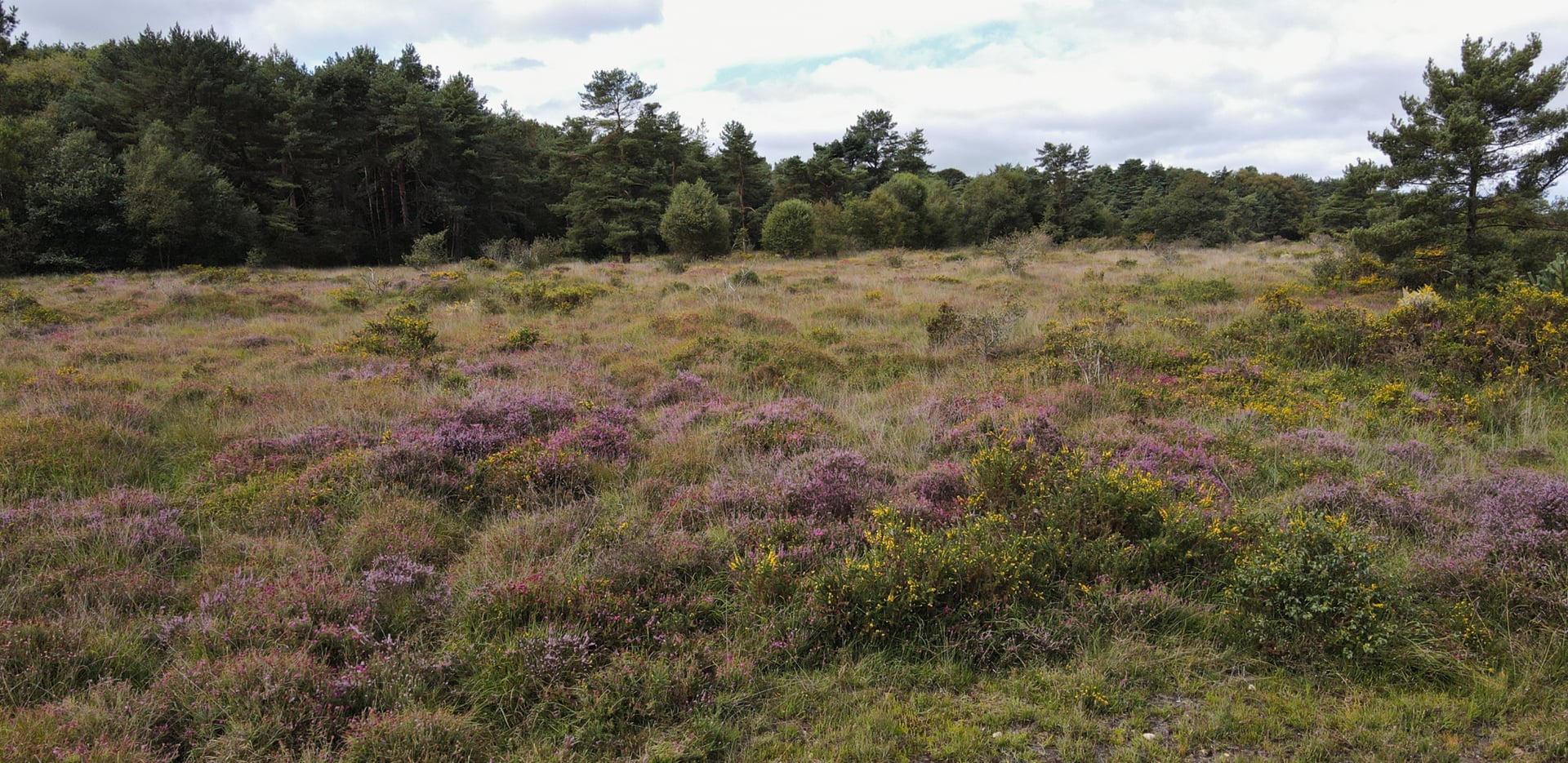 A la découverte de la réserve naturelle de Glomel