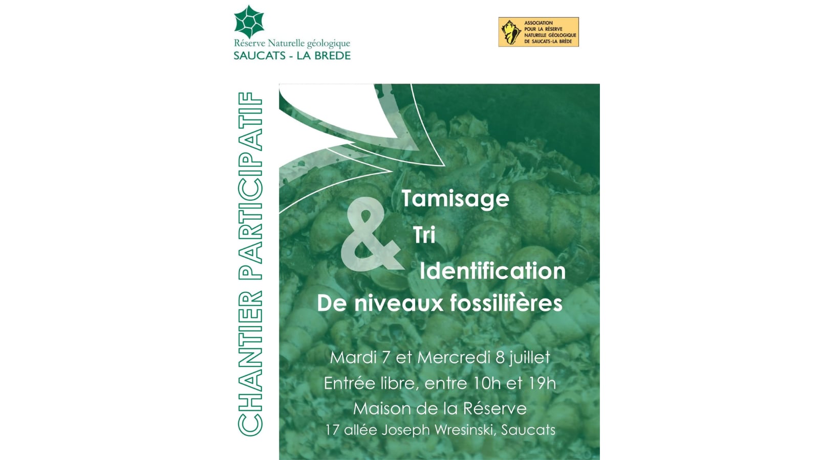 Chantier Participatif : Tamisage, tri et identification de fossiles