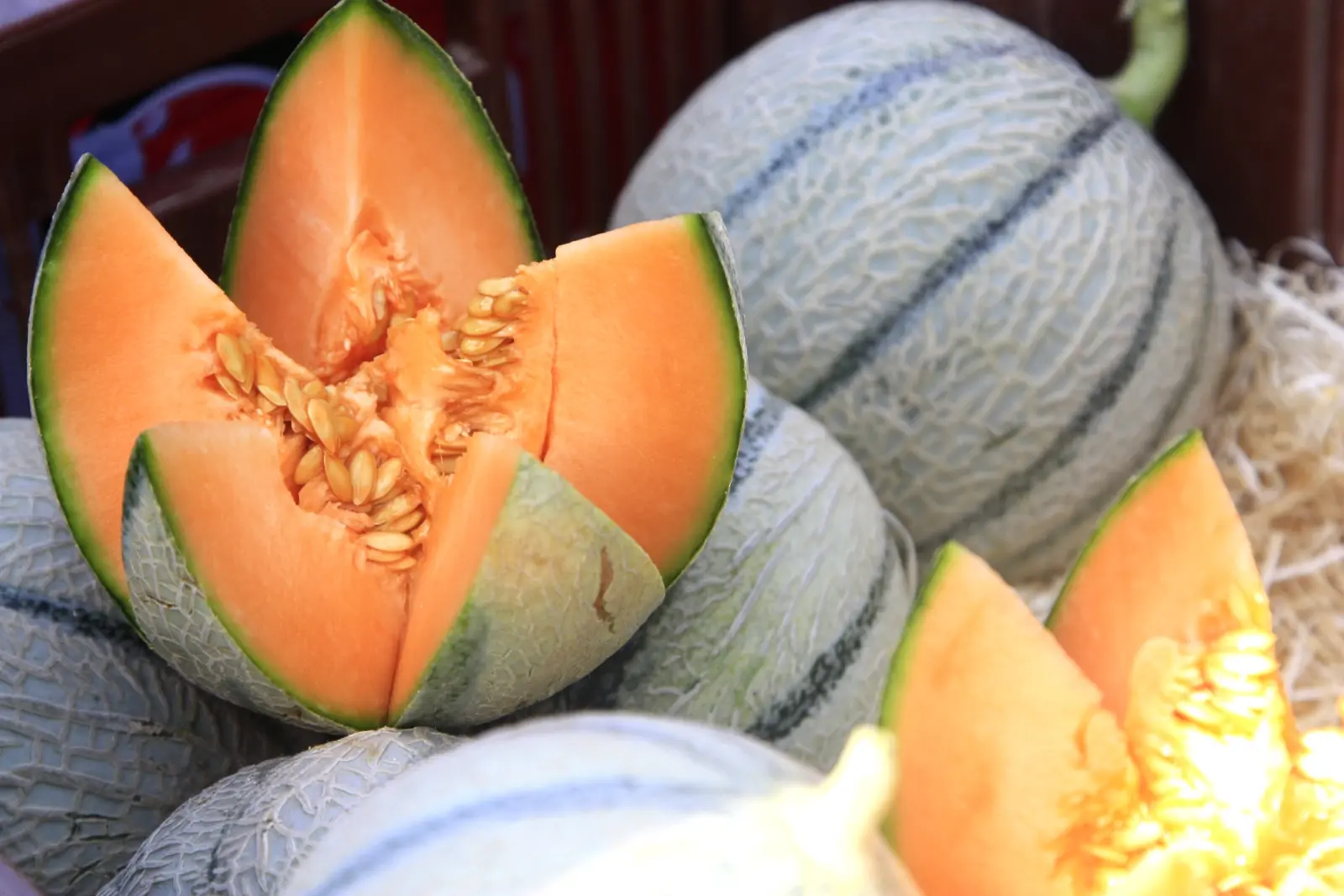 Marché du Melon et du Terroir
