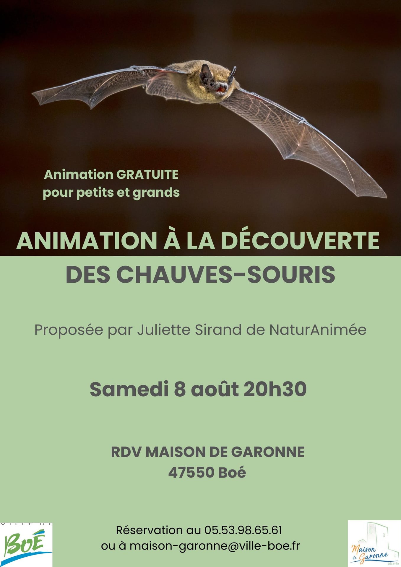 A la découverte des chauves-souris