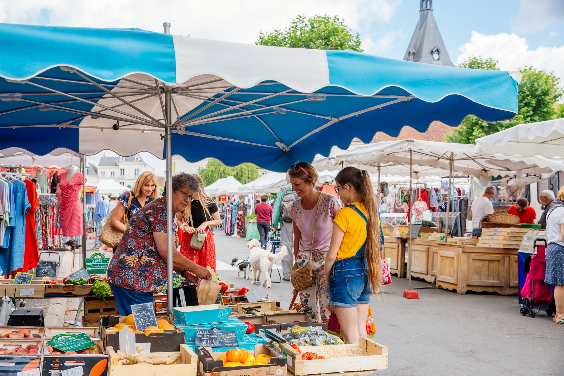 Marché hebdomadaire de Saint-Aignan