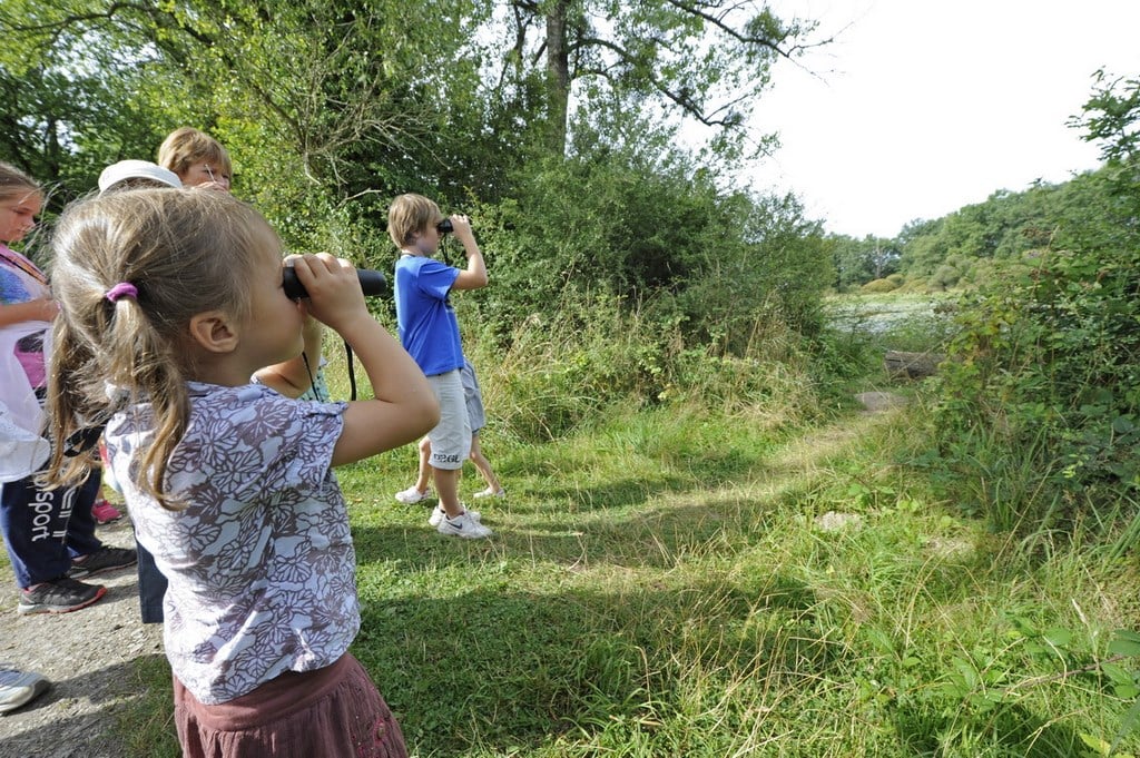 Détectives naturalistes en herbe