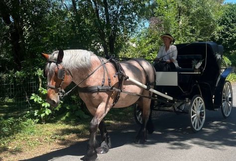 Gargantua en calèche
