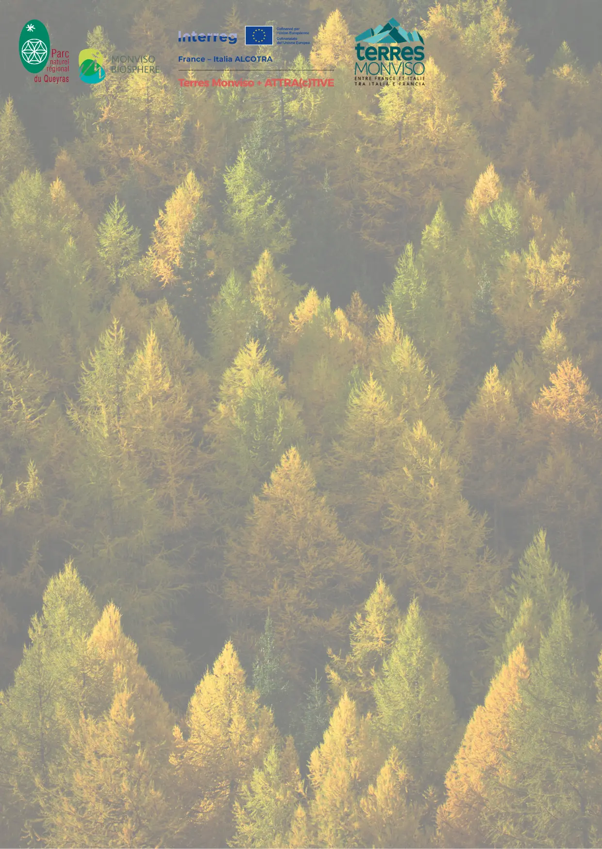 Formation "Forêts de montagne"