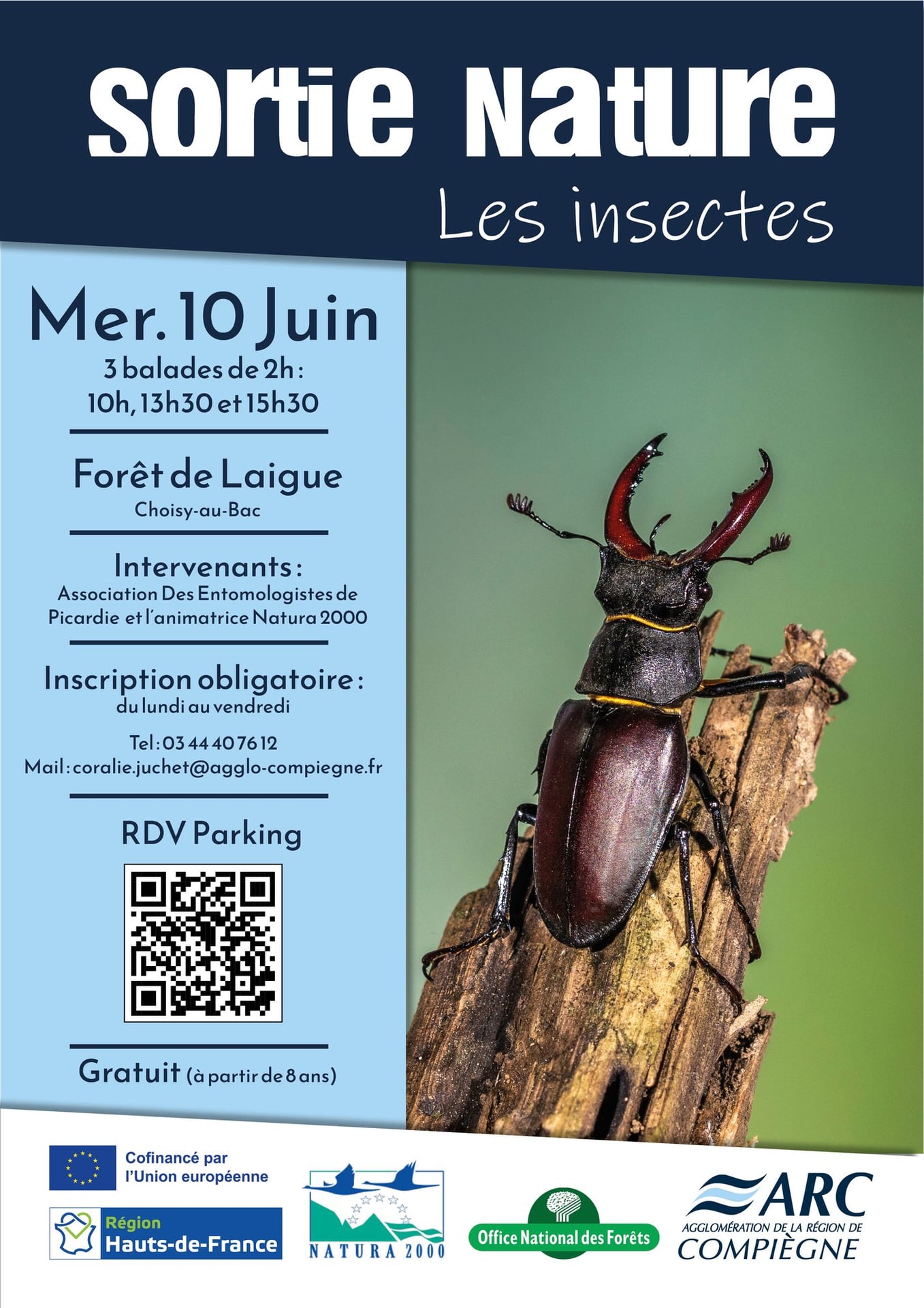 Sortie nature | Les insectes