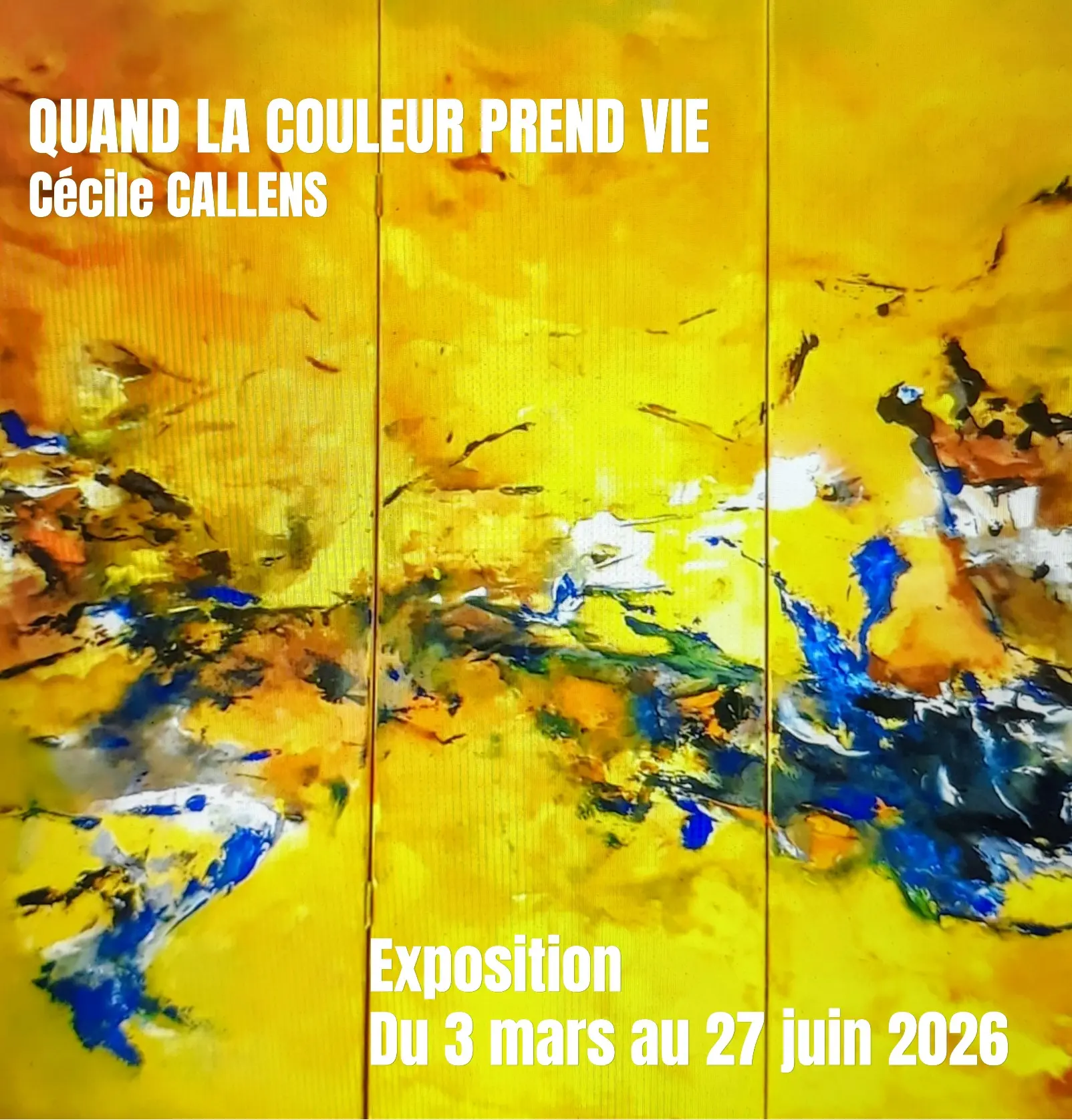 Exposition "Quand la couleur prend vie" de Cécile Callens - Espace Manfredo Borsi
