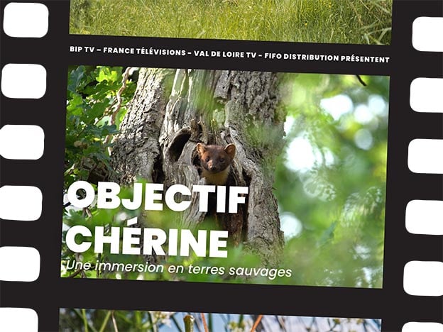 Projection du film "Objectif Chérine"