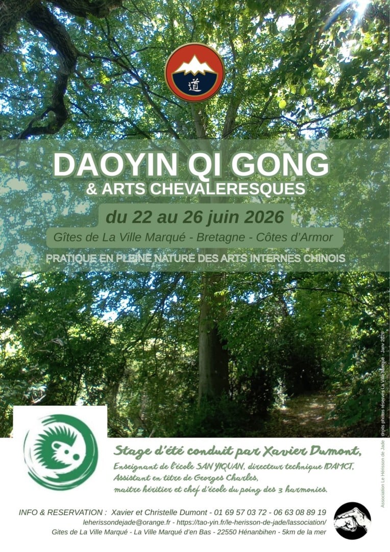 Stage de TAO « Daoyin Qi Gong & Arts chevaleresques »