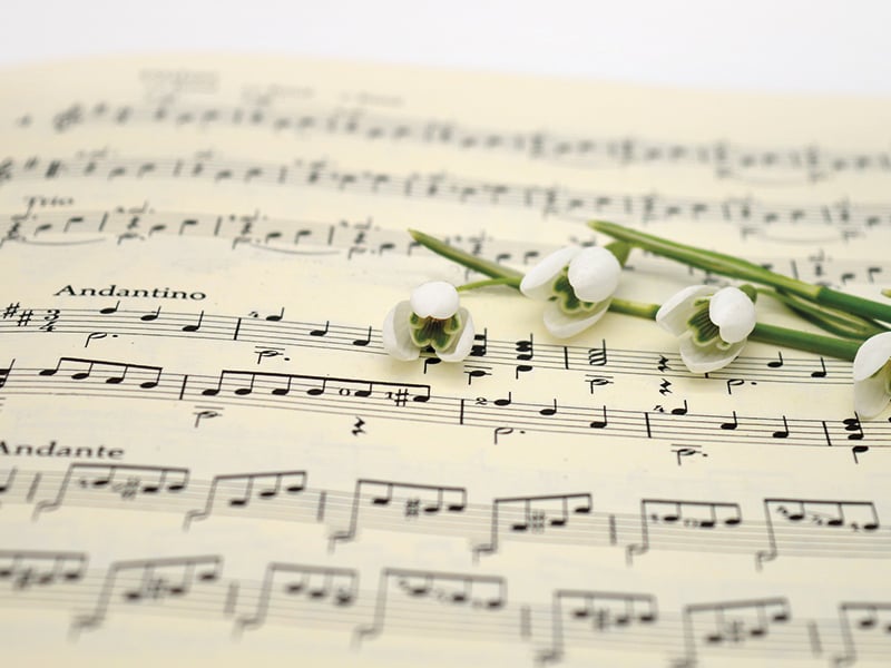 Concert - 2 chorales