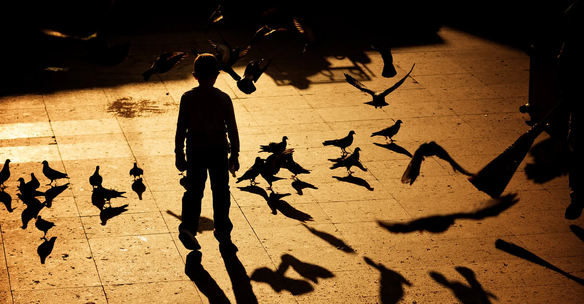 Le petit garçon avec une ombre d'oiseau