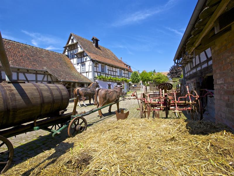 Nuit européenne des musées