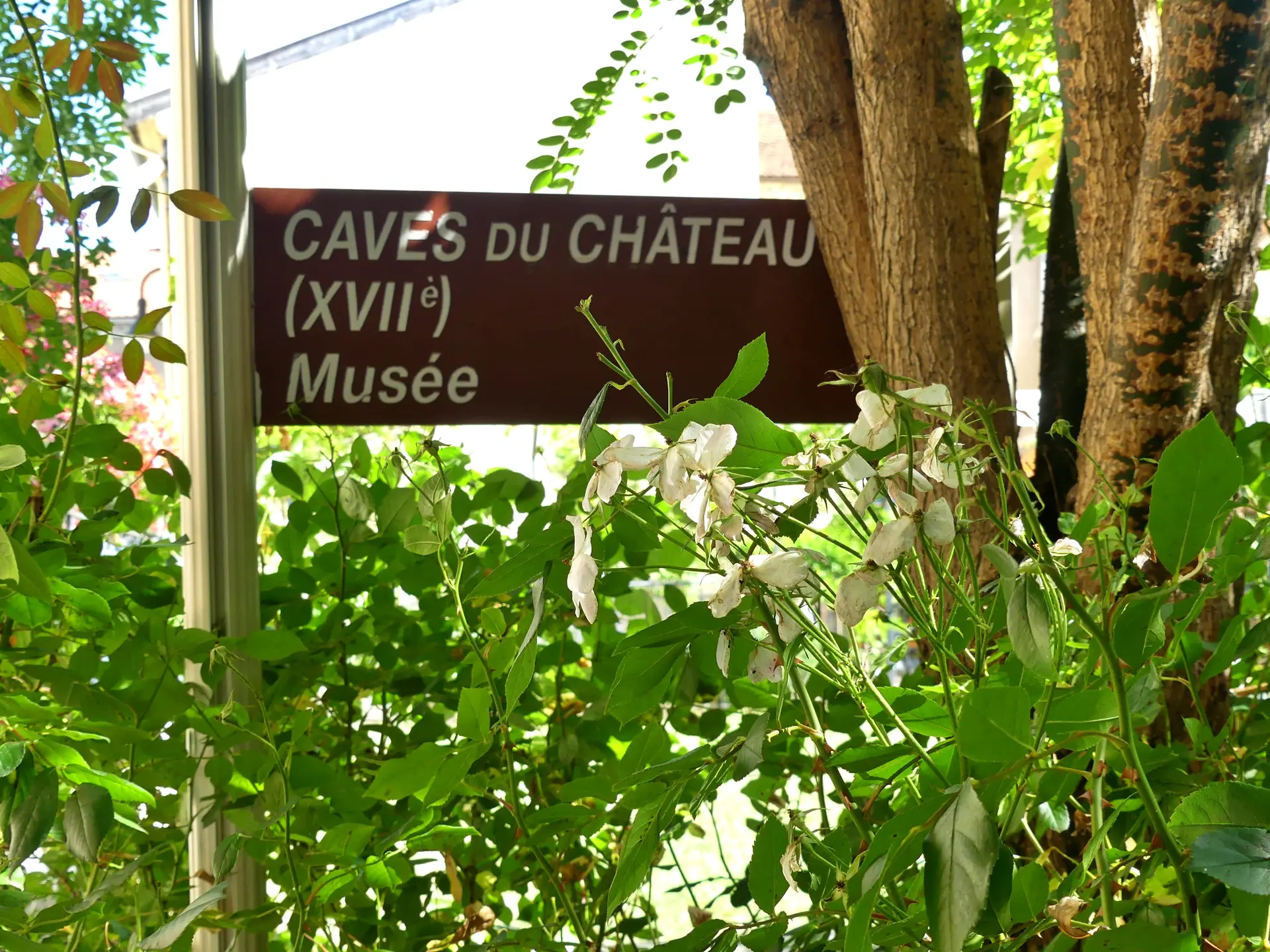 Exposition Photos