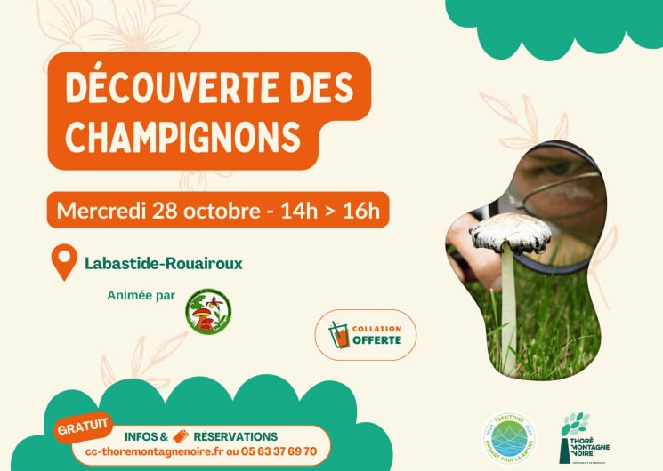 À la découverte des champignons
