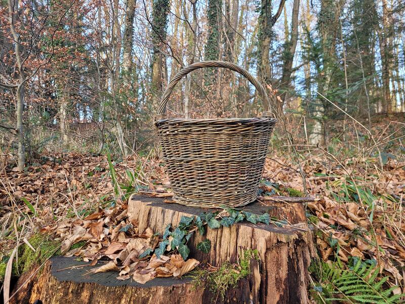 ATELIER DE VANNERIE - Réalisez un panier rond