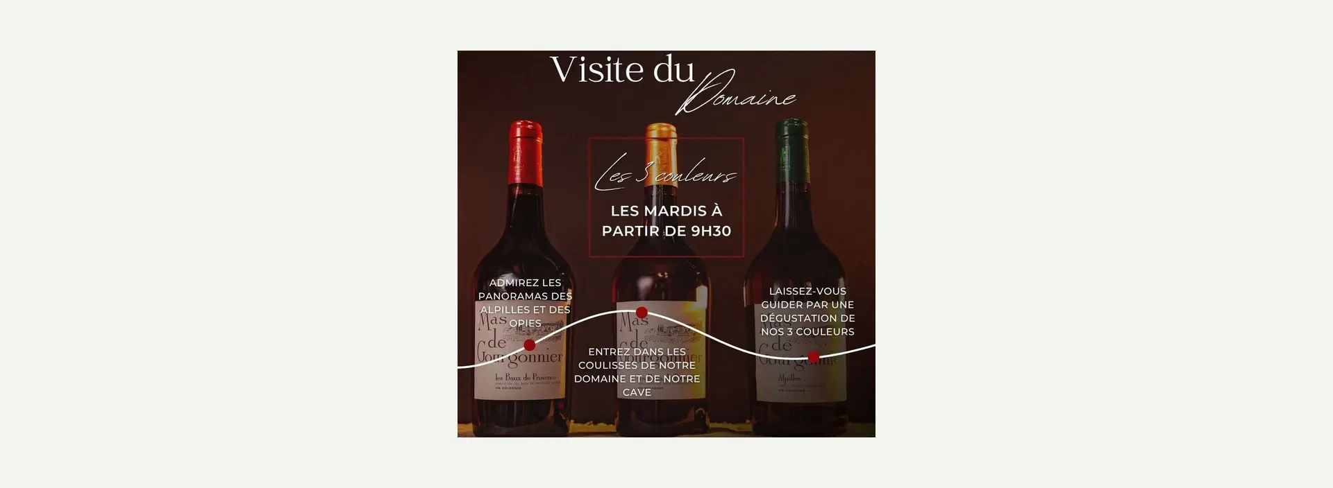 Visite du domaine viticole Mas de Gourgonnier - Les 3 couleurs