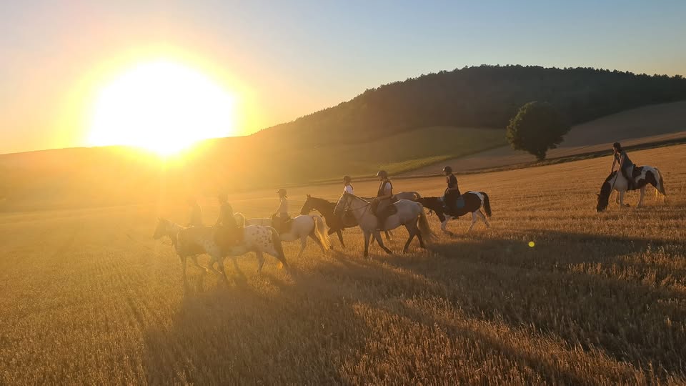 Ferme de Poifond - Agenda Juillet 2026