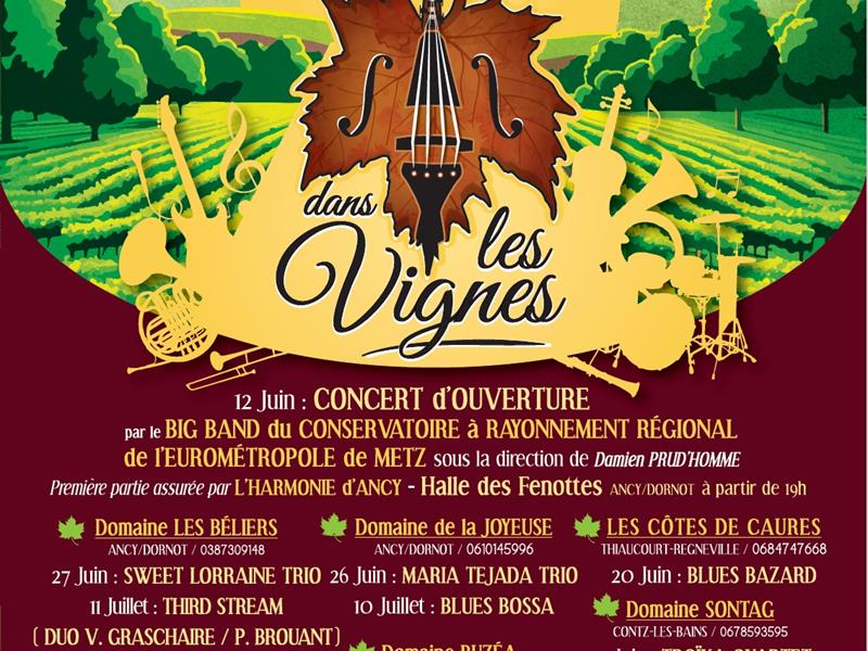 Jazz dans les vignes - Domaine Sontag