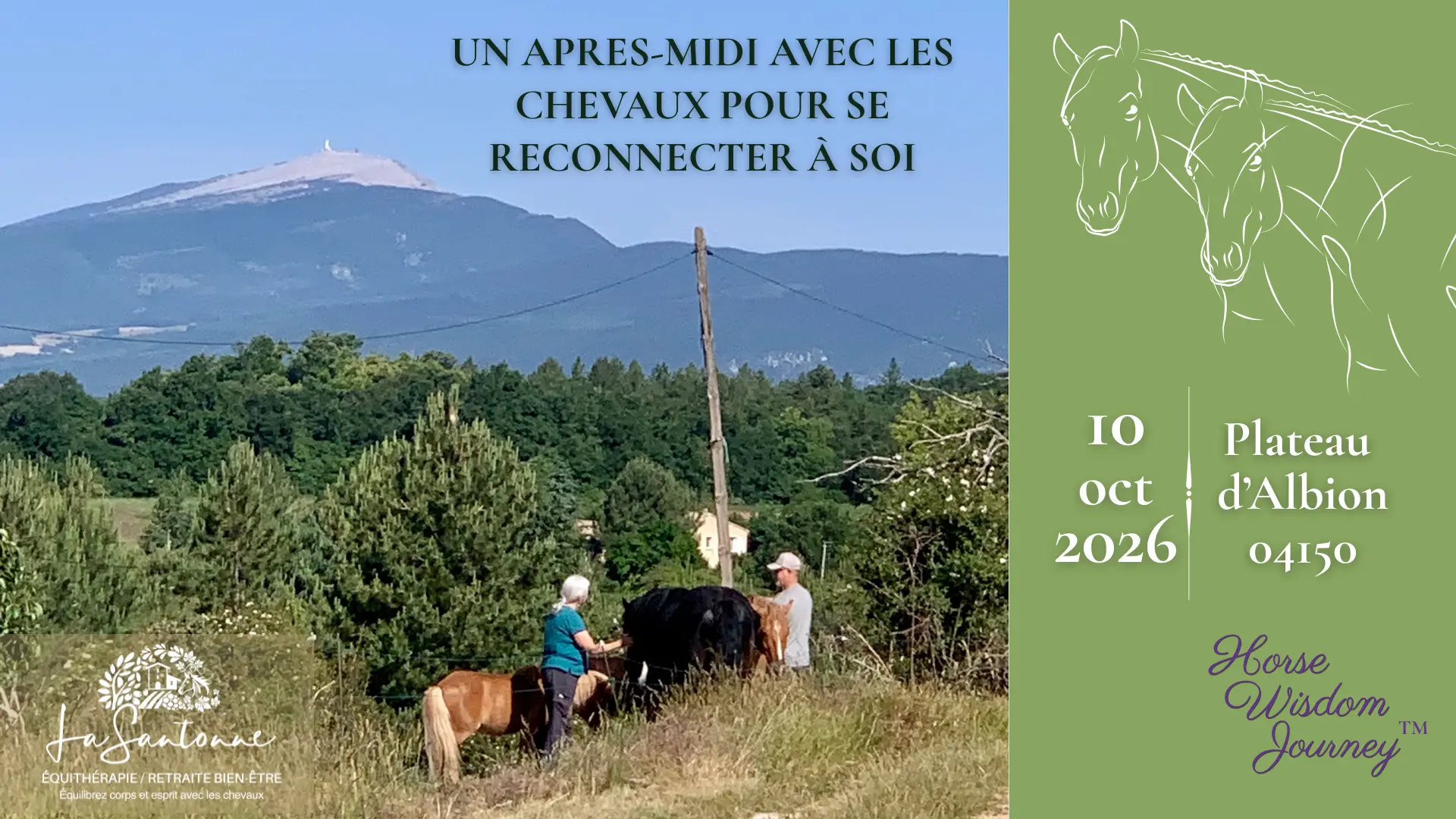 Après-midi avec les chevaux pour se reconnecter à soi