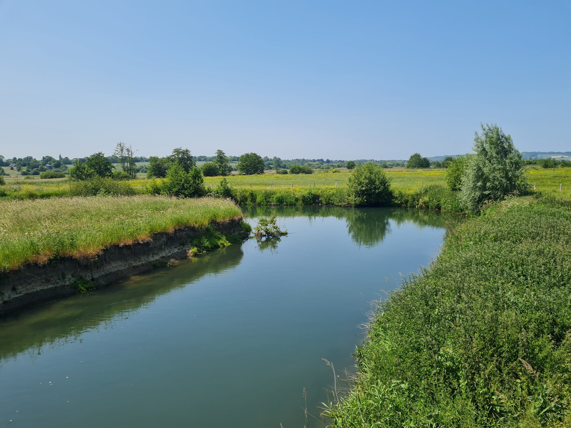 Papillons et autres petites bêtes du marais de la Touques