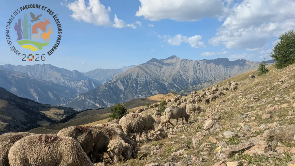 Sur les pas du berger : balade, contes et dégustation
