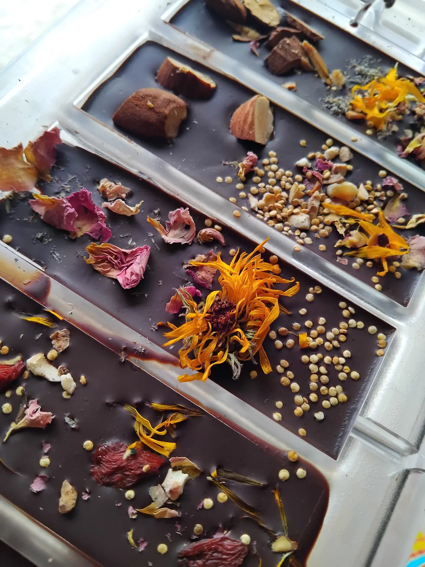 Atelier découverte du chocolat