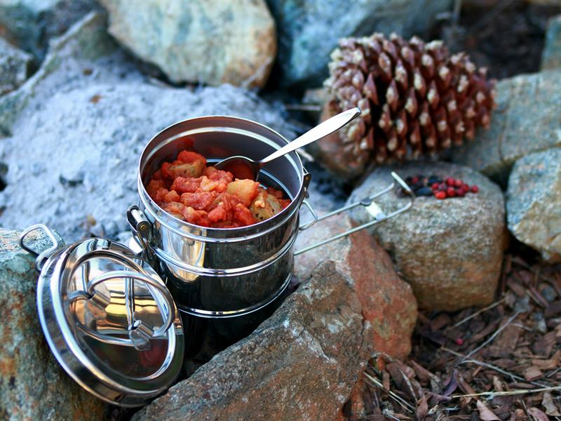 Bivouac dans les Vosges du Nord
