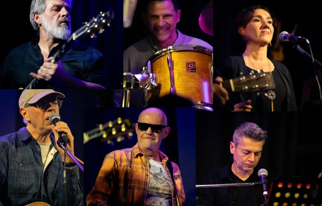 Danger Birds - Festival Improbable