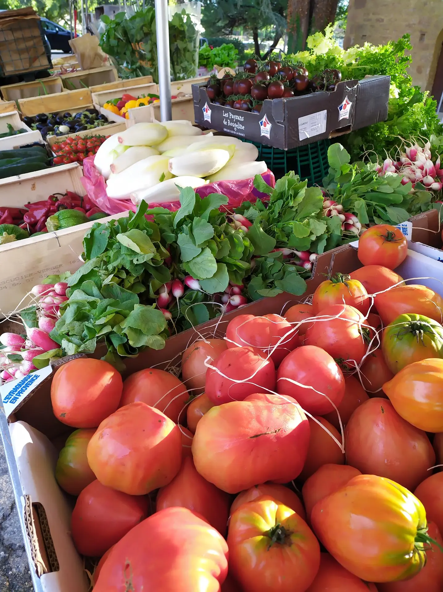 Marché de Châteauneuf du Pape