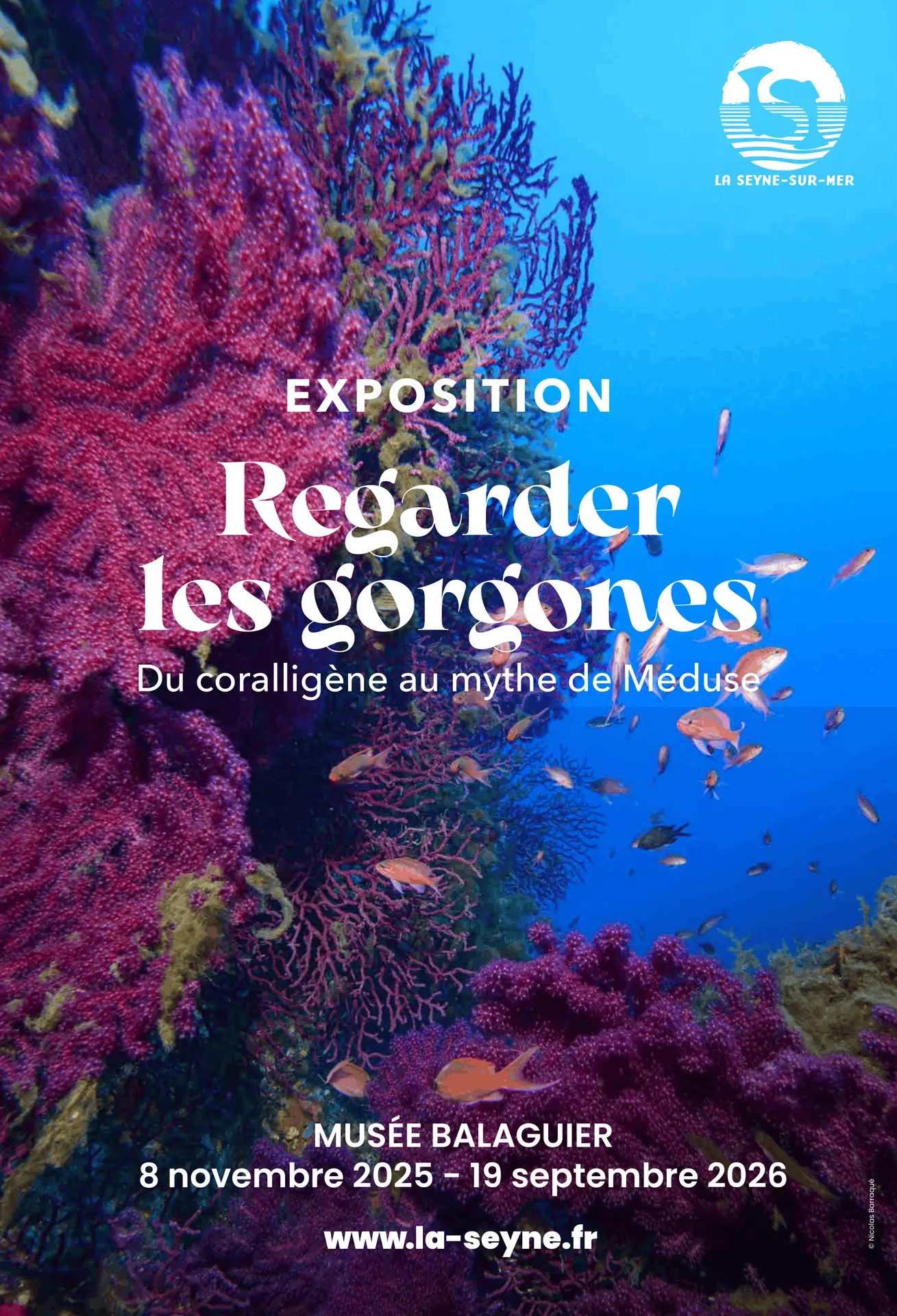 Expo annuelle "Regarder les gorgones"