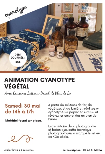 Animation cyanotype végétal