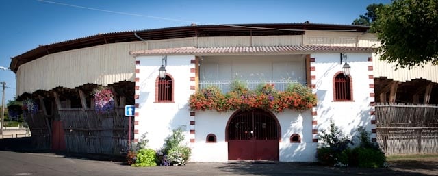 Visite commentée de la Monumental des Pins