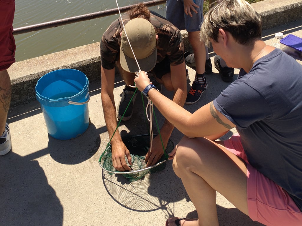 Pince mi pince moi : petite pêche aux crabes