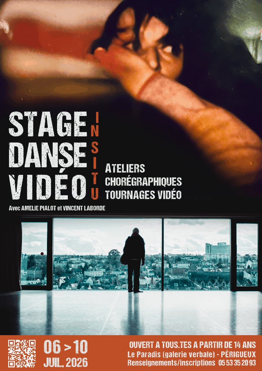 Stage danse et vidéo