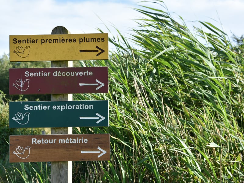 Fête de la nature - Portes Ouvertes à Terres d'Oiseaux