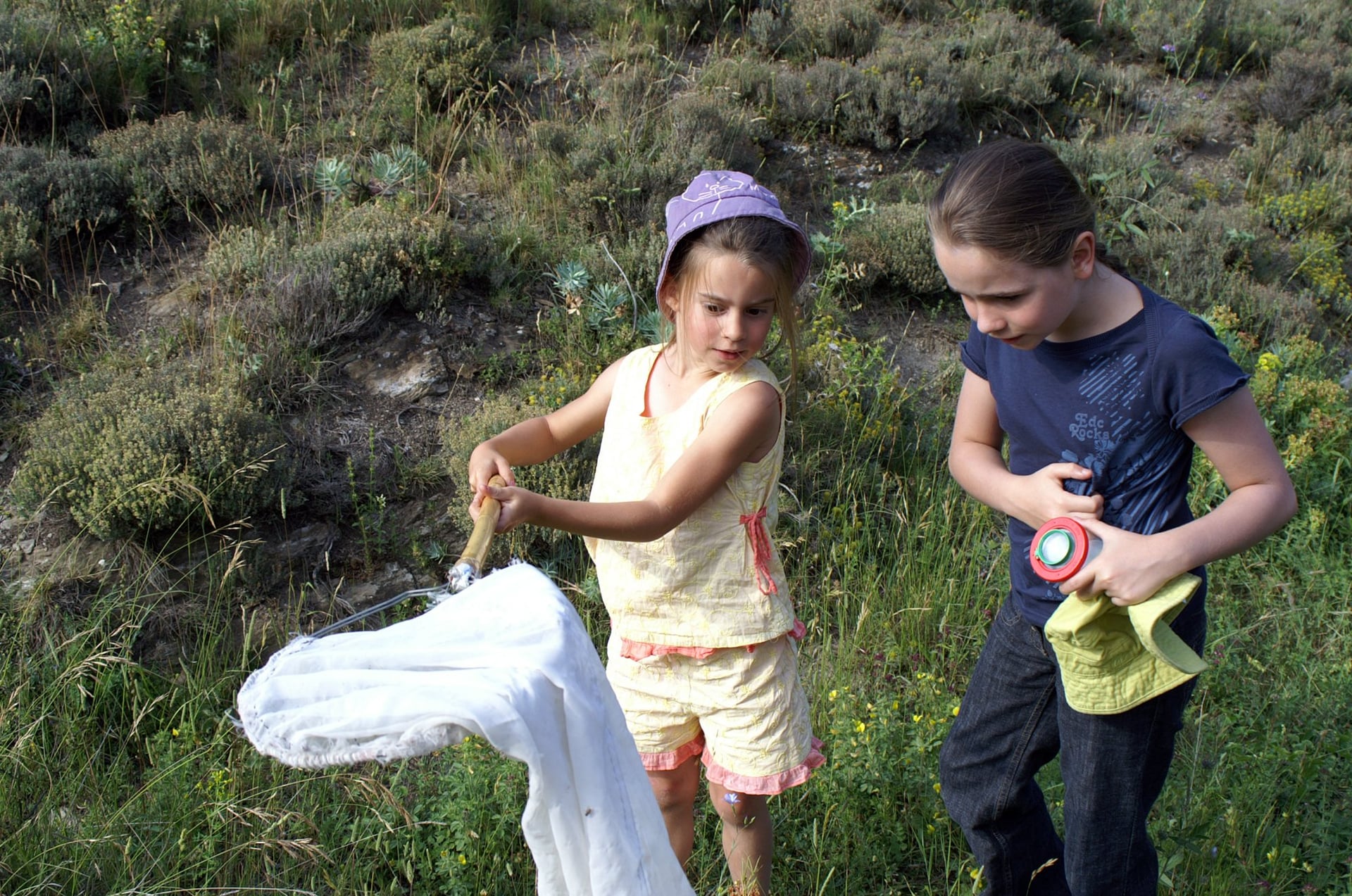 Les drôles de bestioles de la mare, réserve départementale de biodiversité d'Argentat