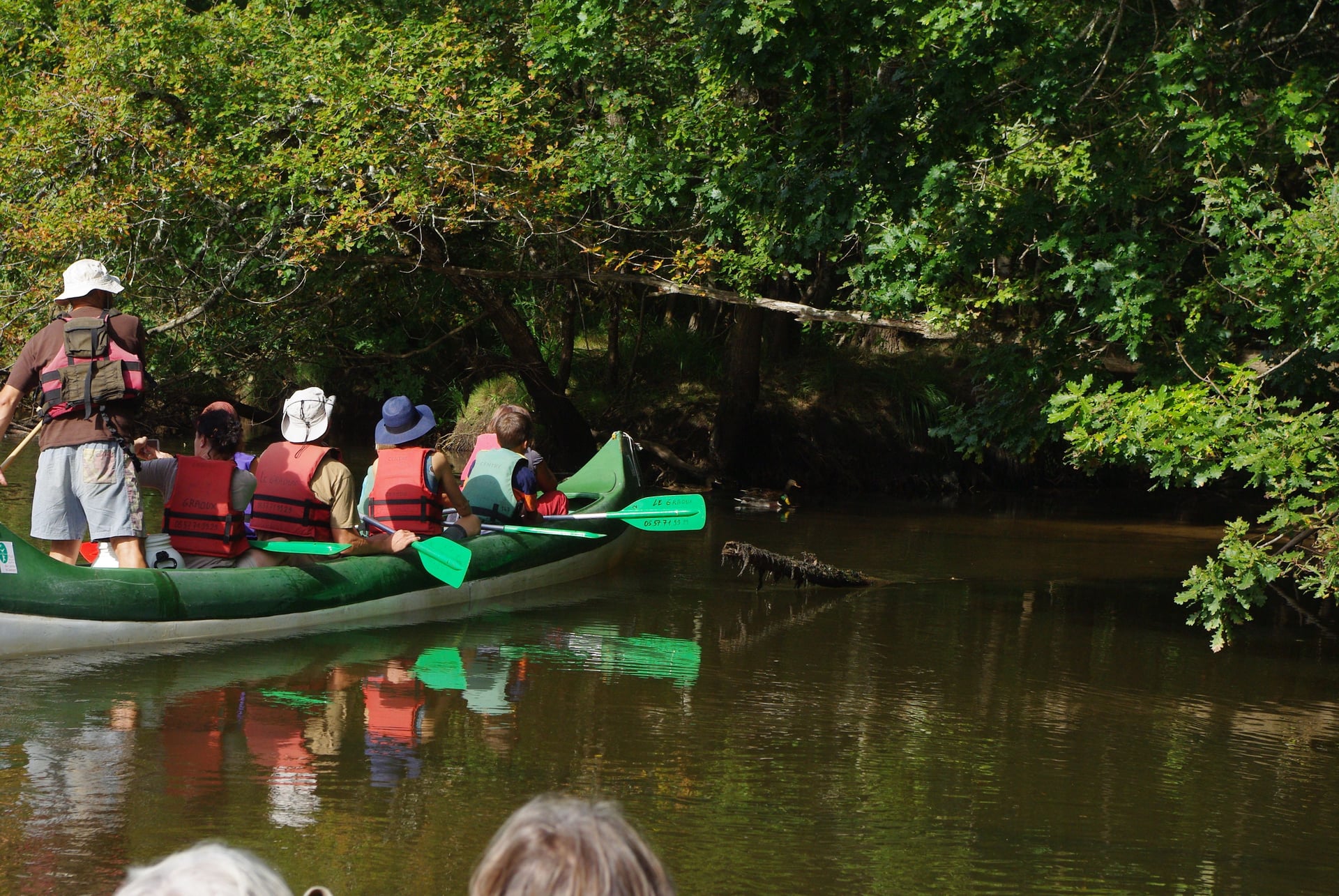 Descente de la Leyre en Canoë collectif entre Mios et Lamothe
