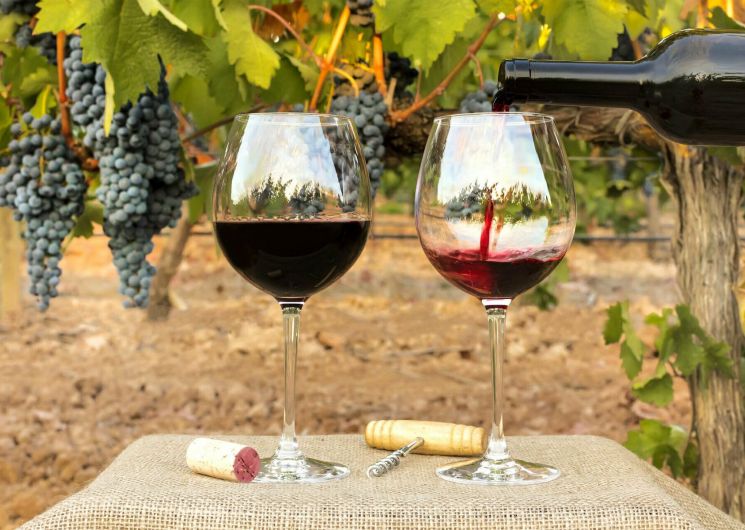 8e marché aux vins
